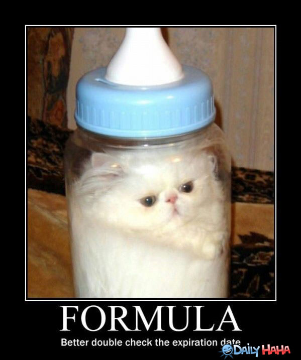 Spolied Formula funny picture