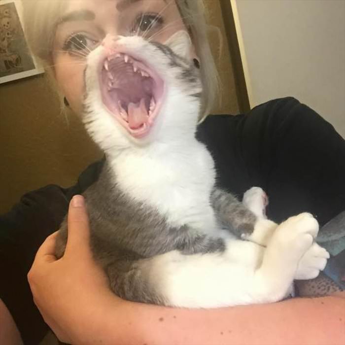 a huge yawn