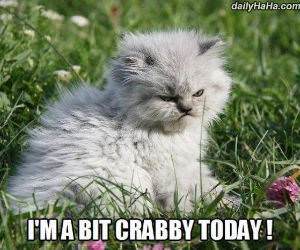 a bit crabby funny picture