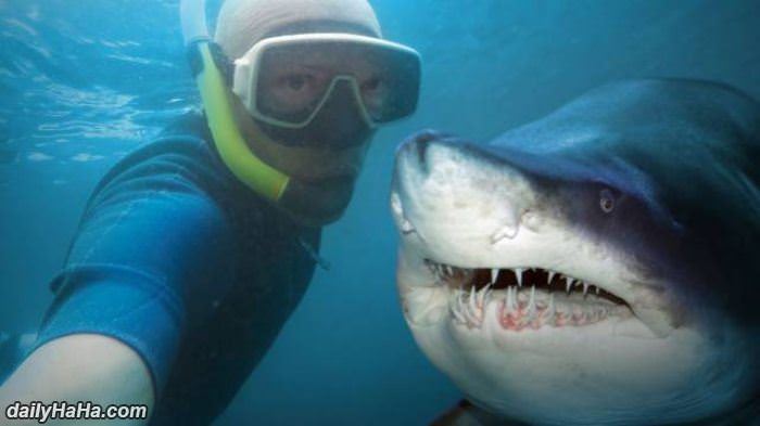 a crazy selfie with a shark funny picture