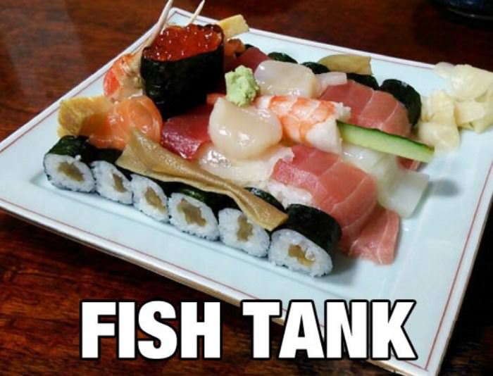 a fish tank funny picture