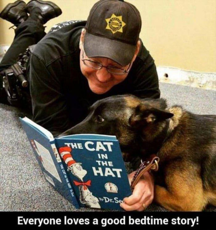 a good bedtime story funny picture