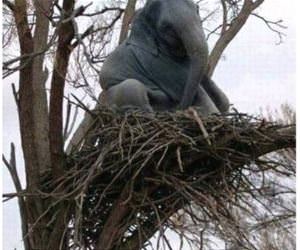 a hatched baby elephant funny picture