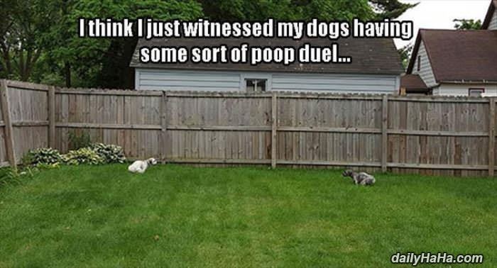 a poop duel funny picture