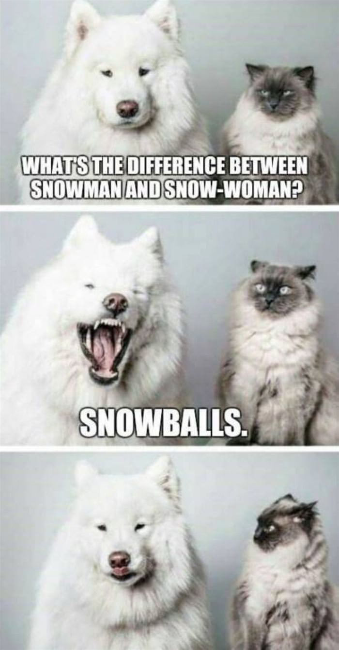 a snowman and a snowwoman funny picture