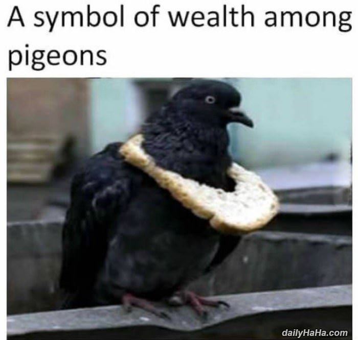 a symbol of wealth funny picture
