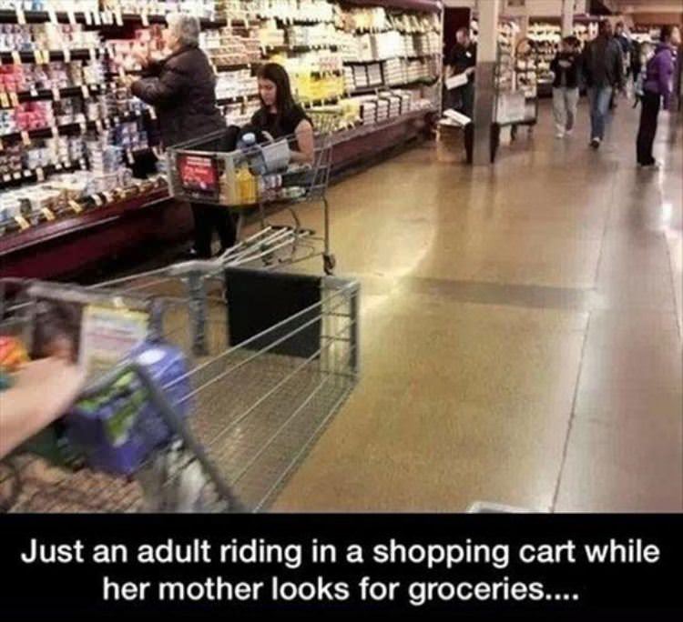 adult in a shopping cart funny picture