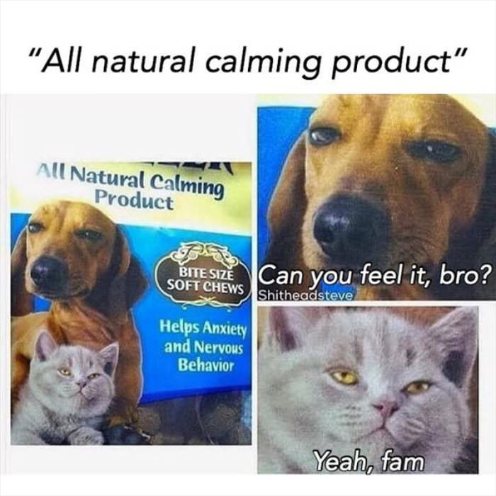all natural calming product