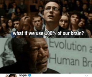 all of our brain