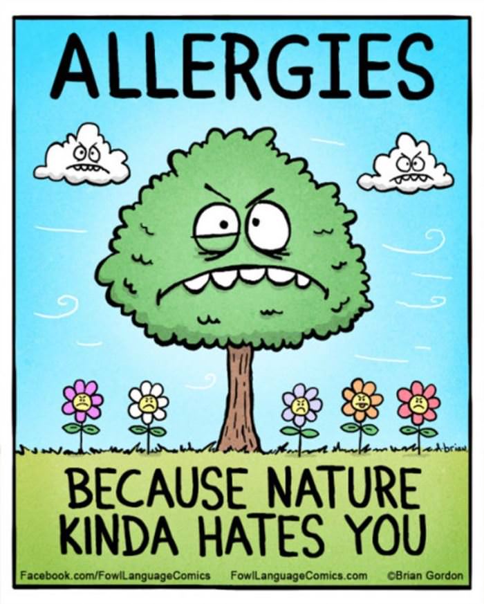 allergies funny picture