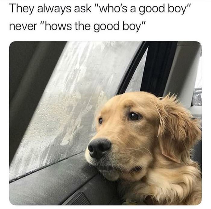 always with the whos a good boy