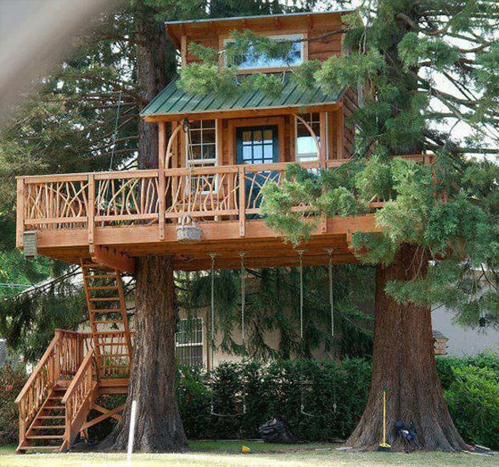 amazing tree house