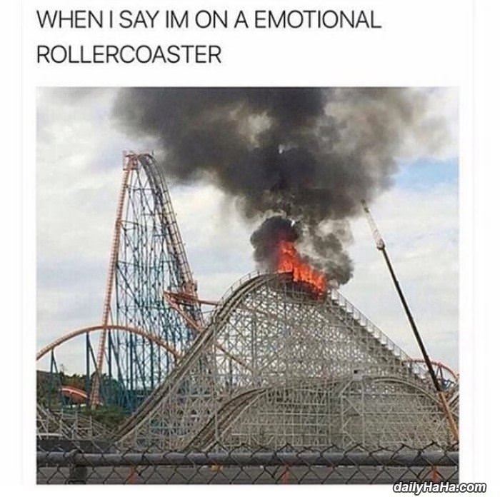 an emotional rollercoaster funny picture