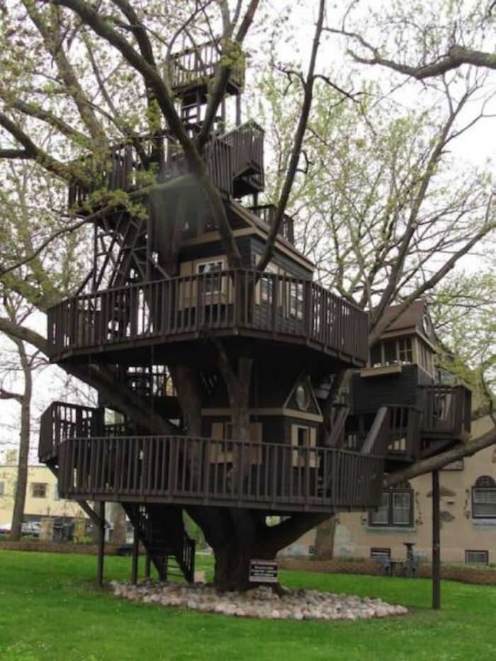 an epic tree house funny picture