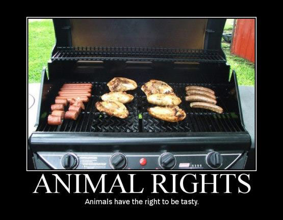 animal_rights.jpg