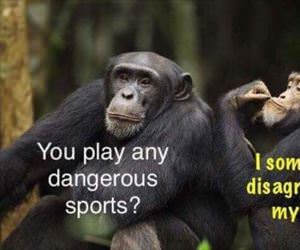 any dangerous sports