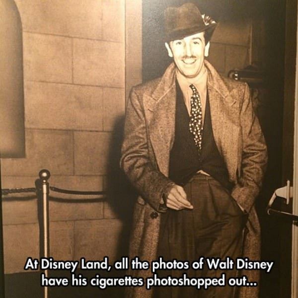 at disney land funny picture