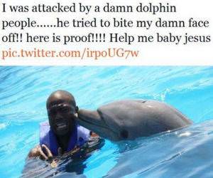 Dolphin Attack funny picture