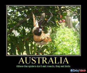 Australia funny picture