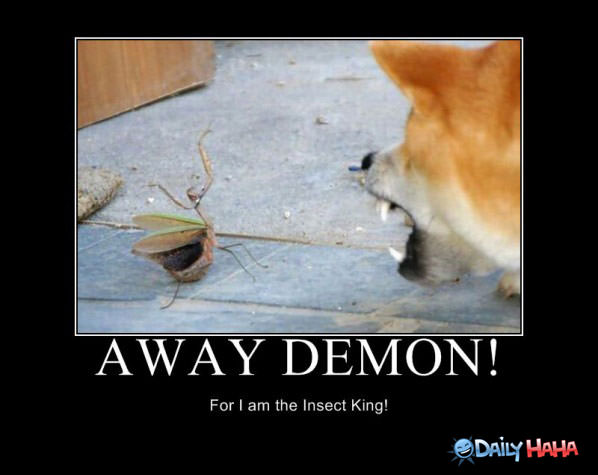 Away Demon funny picture