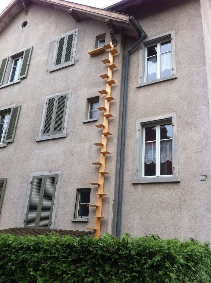 awesome cat ladder