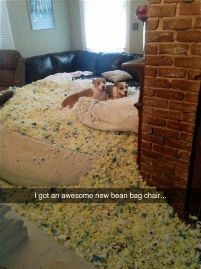 awesome new chair