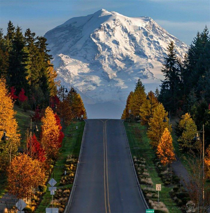 awesome road view