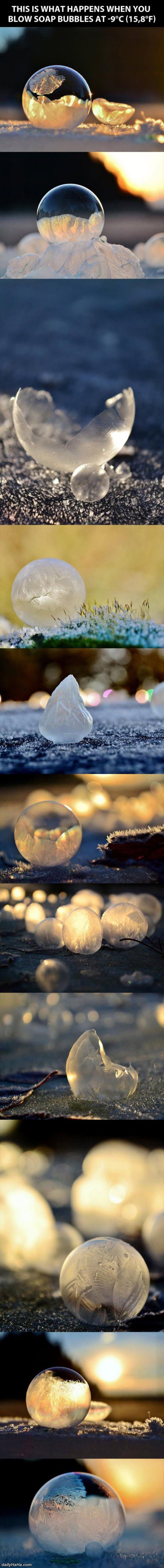 awesome frozen bubbles funny picture