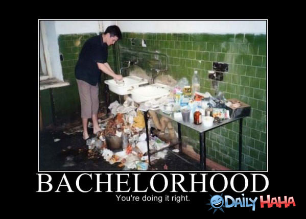 Bachelorhood funny picture