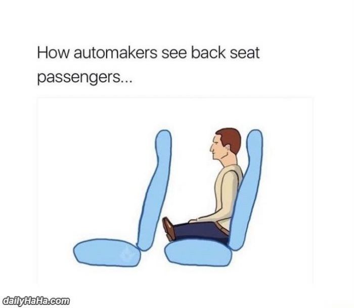 back seats of cars funny picture