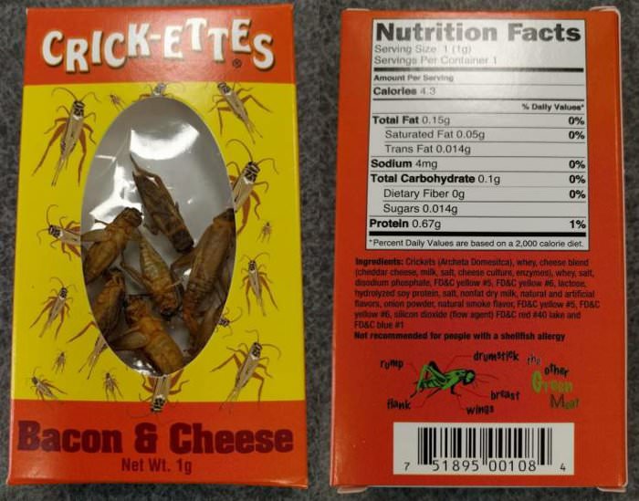 bacon-and-cheese-crickets bacon and cheese crickets