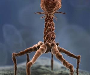 bacteria spider microscope funny picture