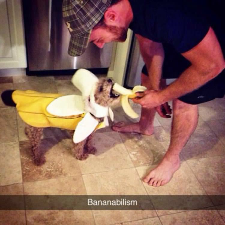 bananabilism funny picture