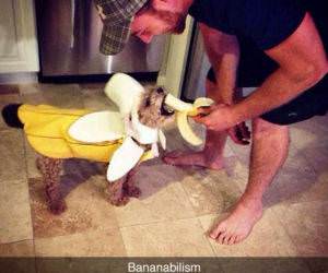 bananabilism funny picture