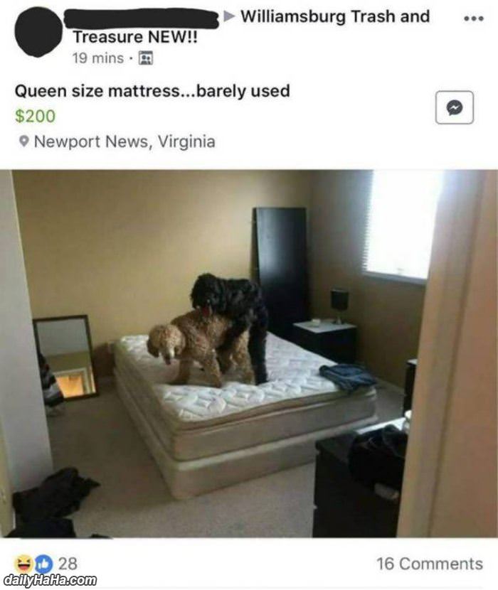 barely used mattress for sale funny picture