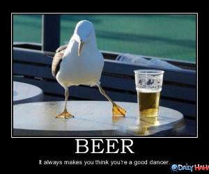 Beer Bird funny picture