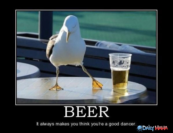 Bir yang lucu gambar Burung