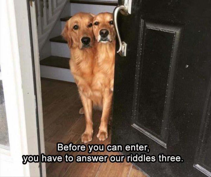 before you enter funny picture