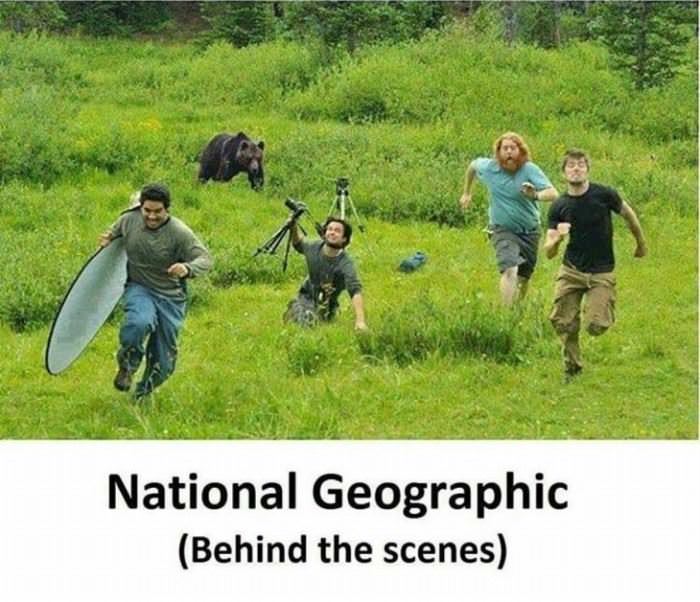 behind the scenes funny picture
