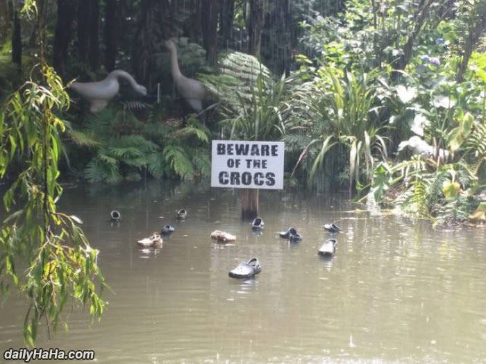 beware of the crocs funny picture