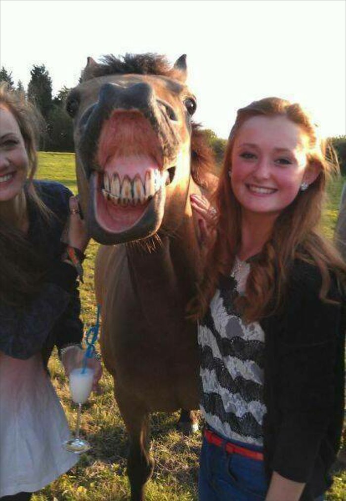 All Simles funny picture