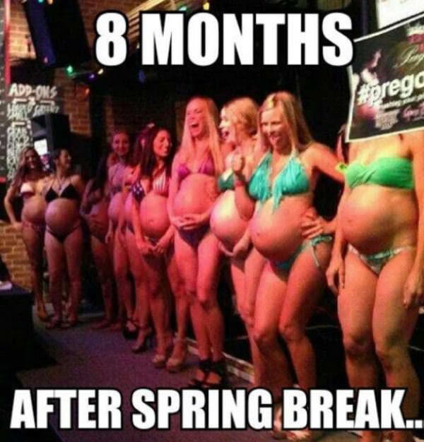 bikini contest funny picture