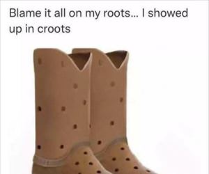 blame it on my roots