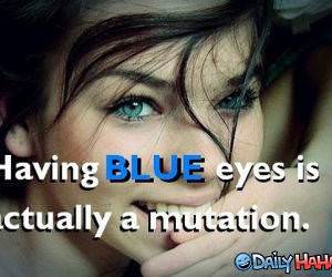 Blue Eyes funy picture
