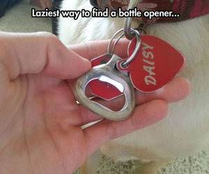 Bottle Opener funny picture