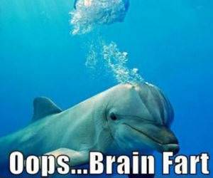 Brain Fart funny picture