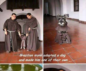 brazilian monk and his dog