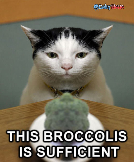 Broccolli is sufficient