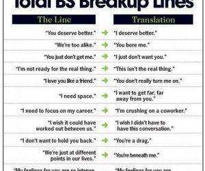 BS Breakup Lines funny picture
