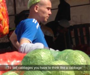 cabbage salesman funny picture